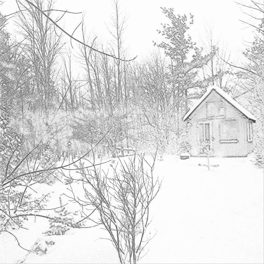 Hotel The Retreat House Blue Mountain Blue Mountains Exterior foto